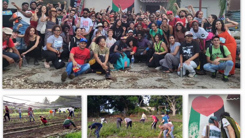 Los estudiantes del ISRI junto a la UJC, jóvenes palestinos y una brigada de jóvenes norteamericanos, realizó un trabajo voluntario en la finca La Rosita de la UJC