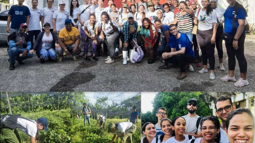 Trabajo voluntario en saludos al cumpleaños de Fidel Castro