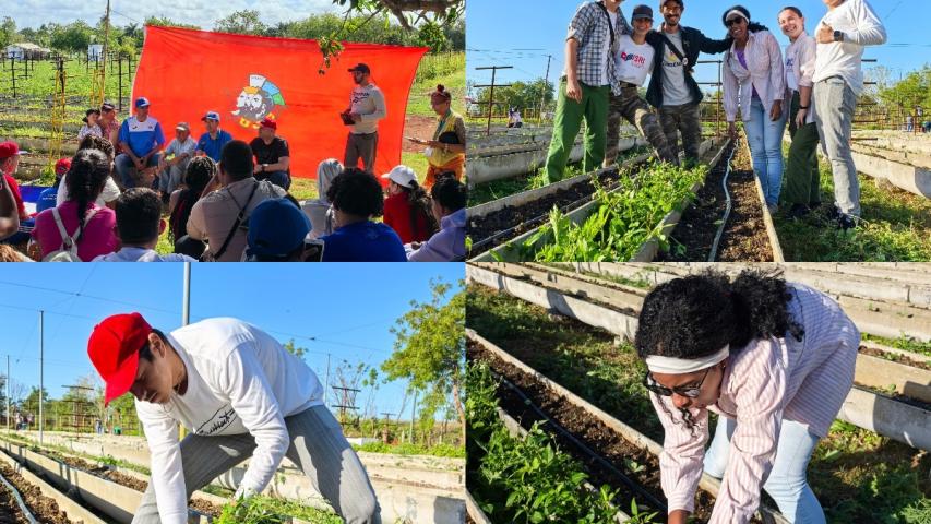 Estudiantes del ISRI participan en trabajo voluntario en Fontanar